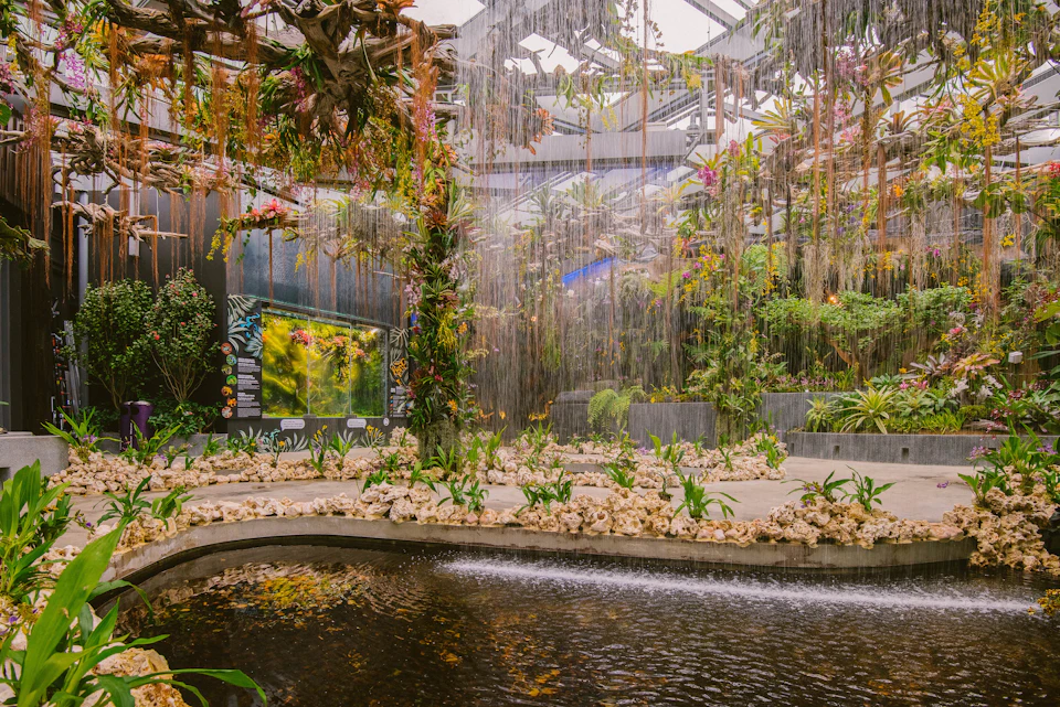 Indoor rainforest exhibit with hanging plants, a water feature, and lush greenery. Structured roof partially visible.