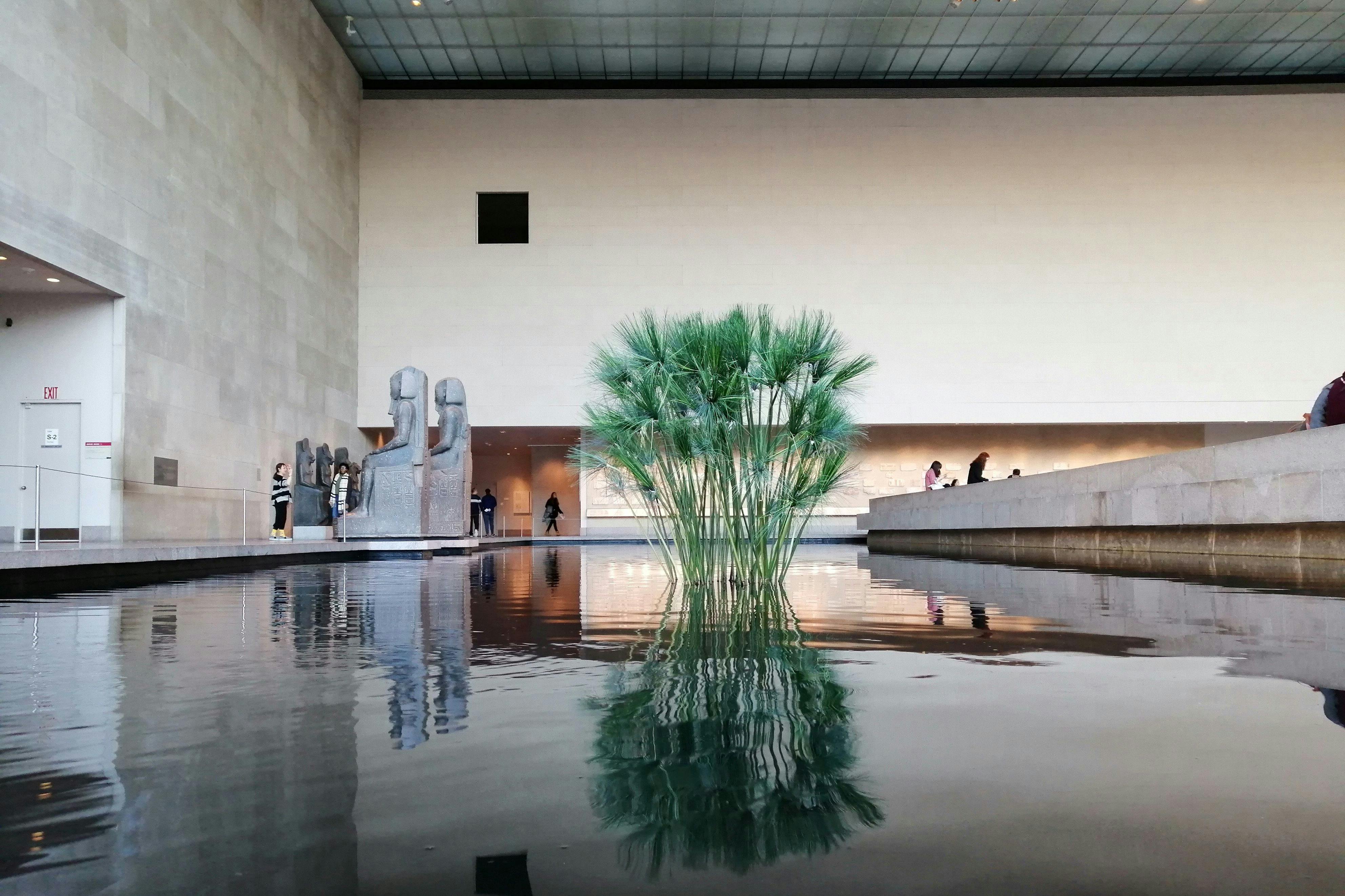 Vnitřní reflexní jezírko s vysokými zelenými rostlinami uprostřed. V pozadí jsou vidět sochy a lidé.