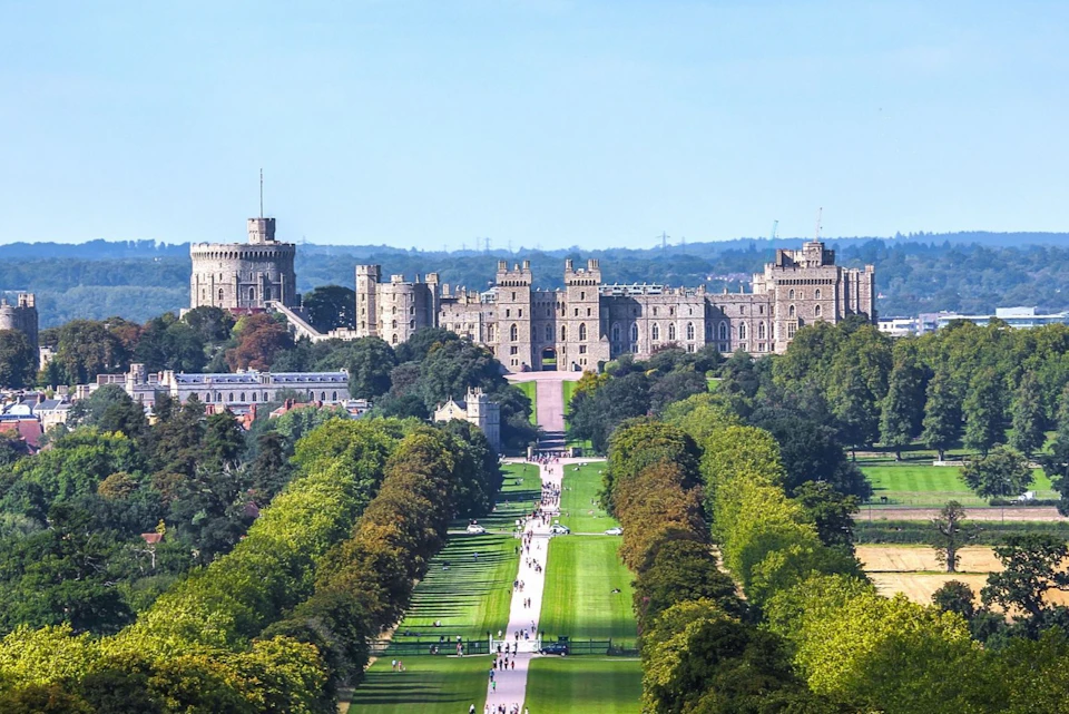 A long, tree-lined path leading to a large historic castle on a clear day, with people walking along the path.