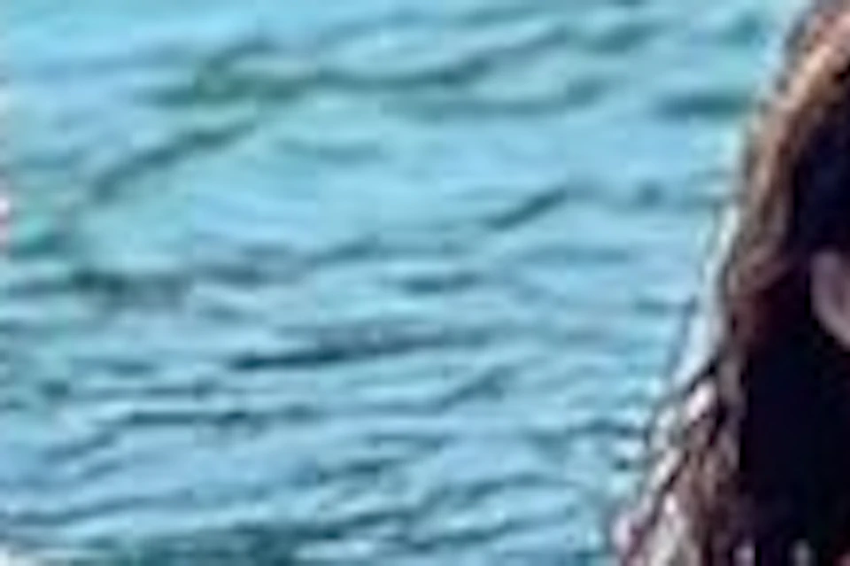 paddle board