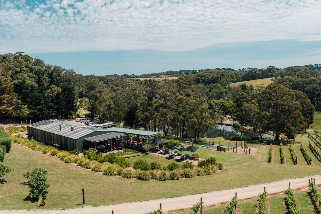 Green Olive at Red Hill: Farmers Lunch for 2 + Drinks