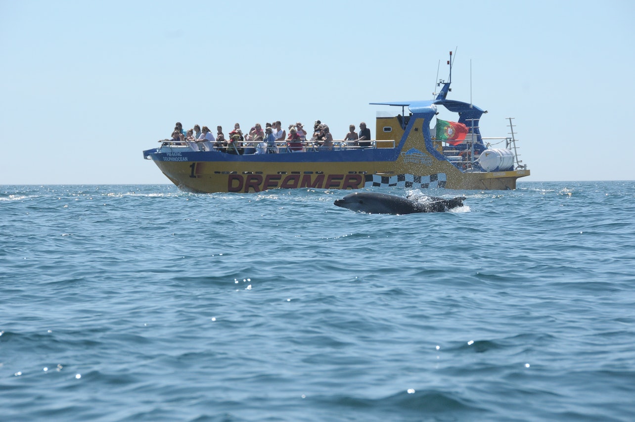Tour in Barca Grotte e Avvistamento Delfini da Albufeira - Dreamer (motoscafo) - Alloggi in Albufeira