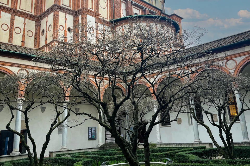 A courtyard with a flowering tree and a historic building with arches and detailed brickwork in the background.