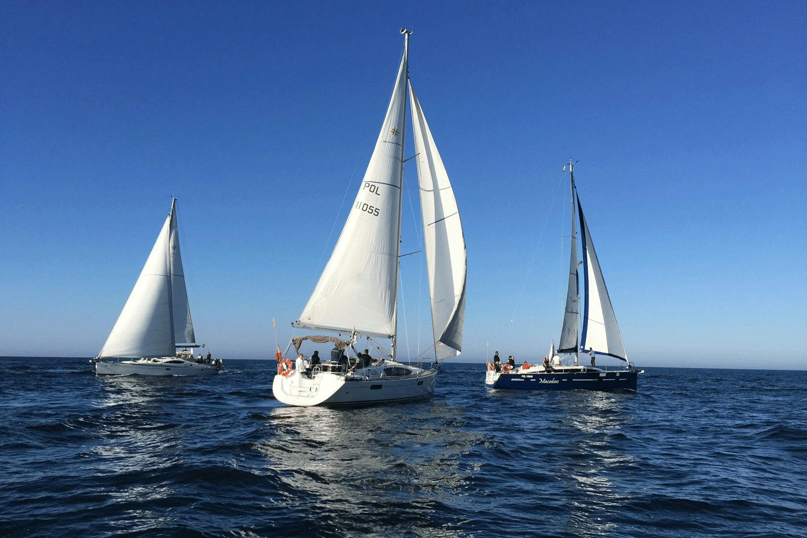 Trois yachts à cabines modernes en mer