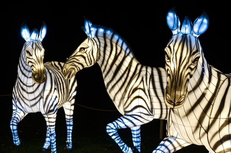 三个发光的蓝色口音的斑马雕塑站在黑暗的背景上。