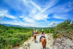 Morning | Vida Aventura Nature Park things to do in Guanacaste Province
