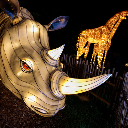 Zoo Lights no Zoo Miami - Photo 11