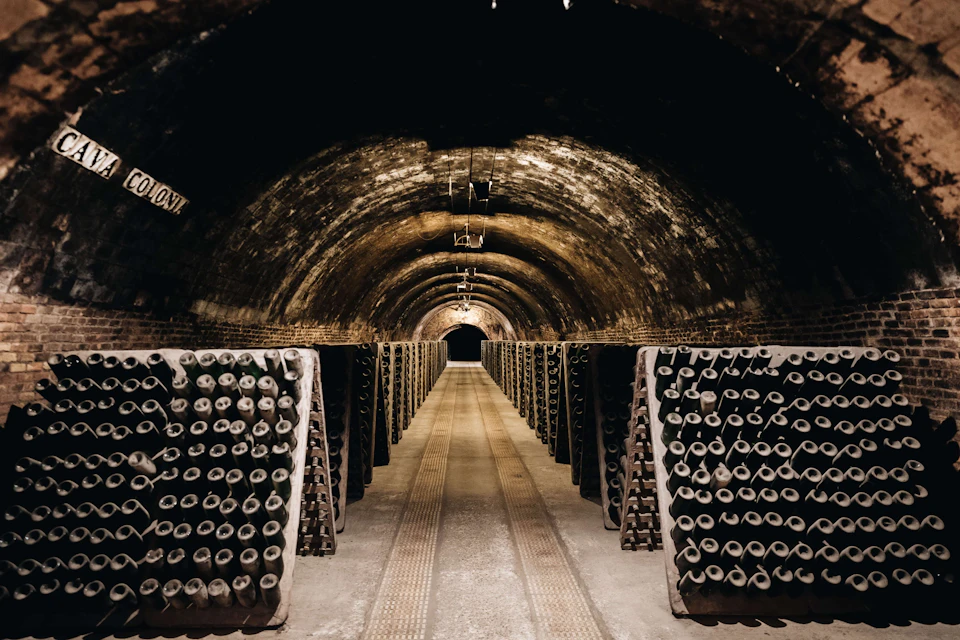 A wine cellar with rows of bottles stored on racks along a dimly lit arched tunnel.