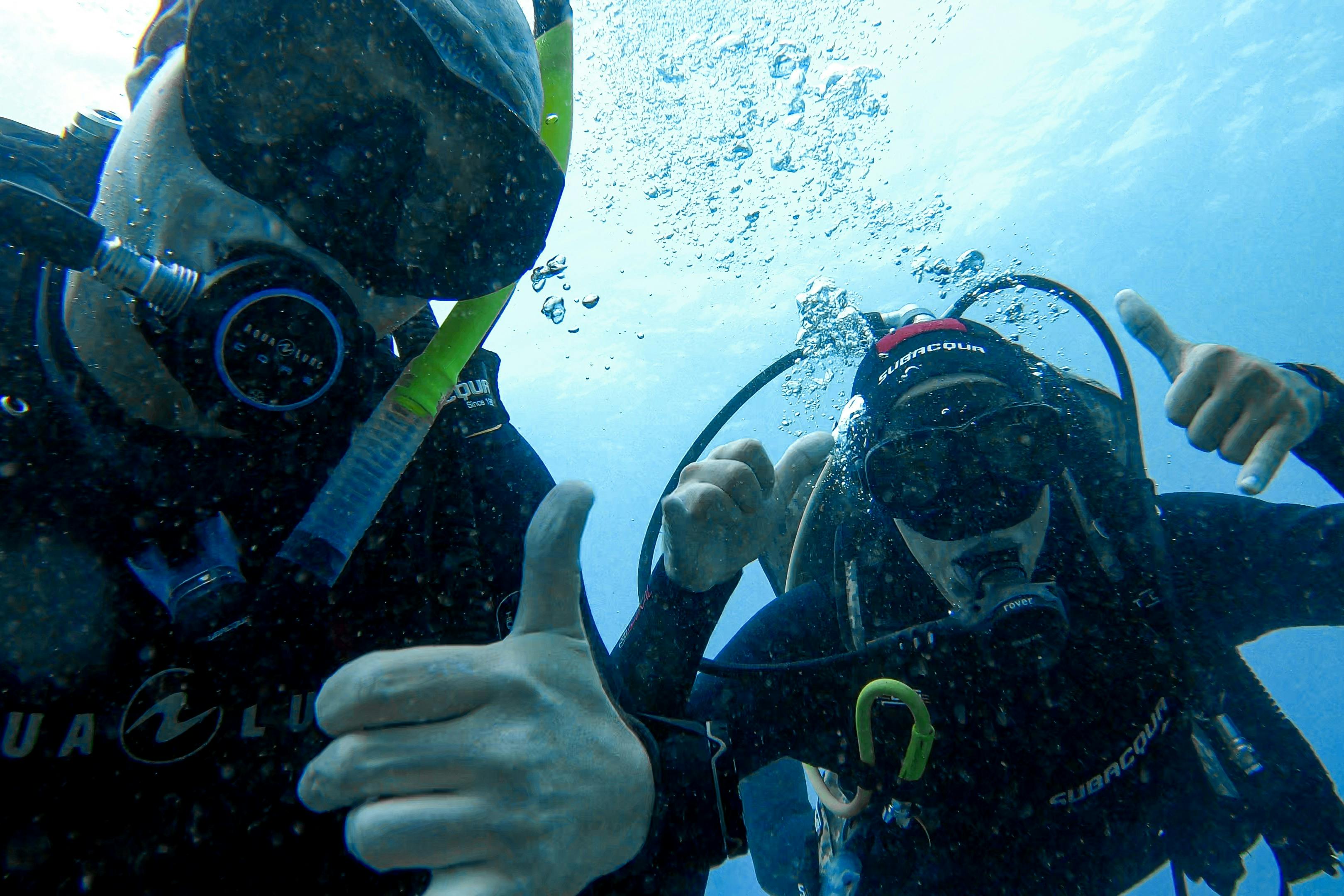 Fuerteventura: Immersioni guidate + Trasferimento di andata e ritorno — 2