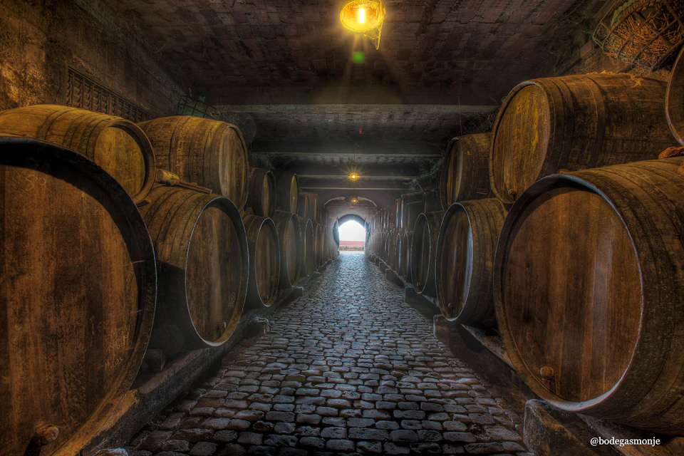 A dimly lit cellar with large wooden barrels lining both sides and a cobblestone path leading to a bright exit.
