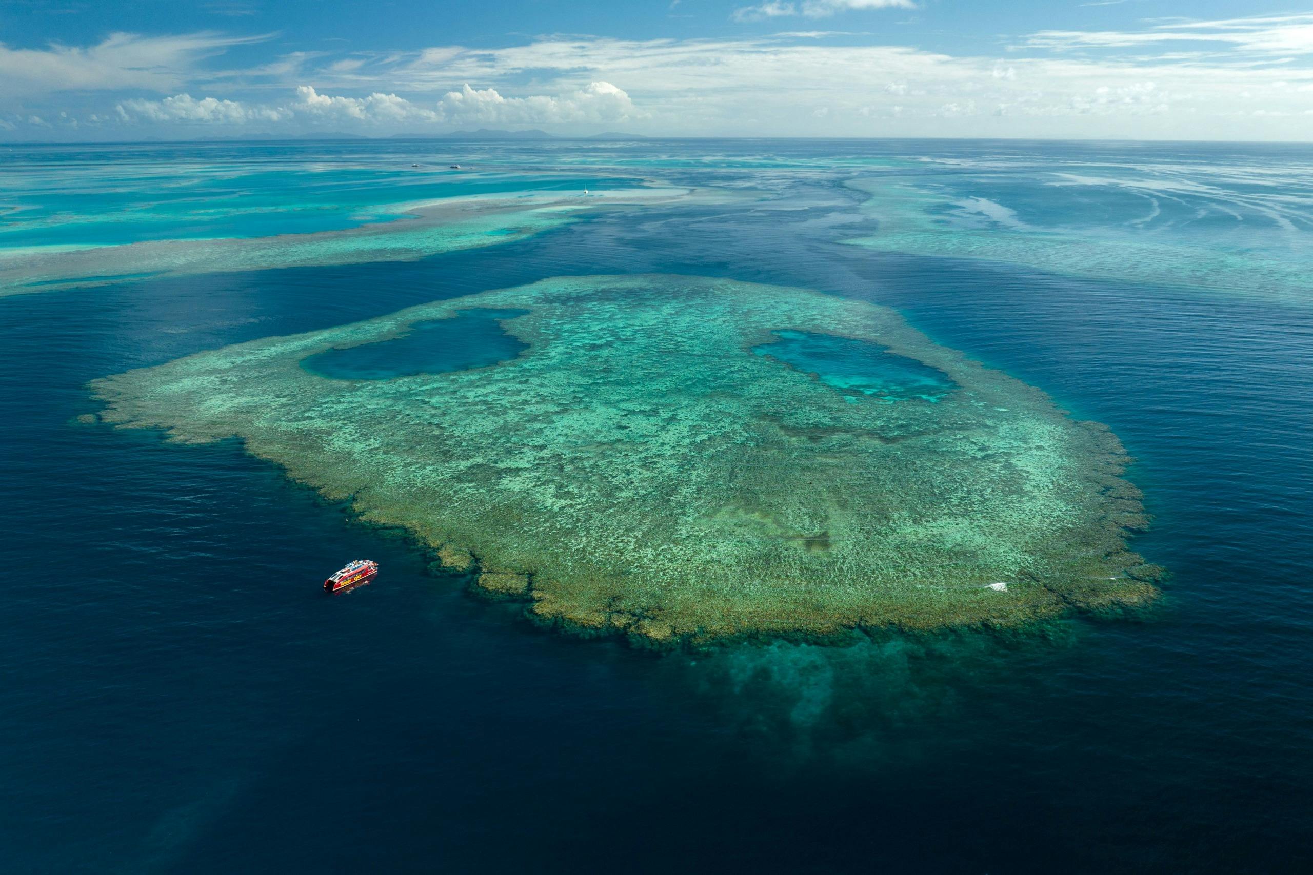 Avventura snorkeling nella barriera corallina esterna