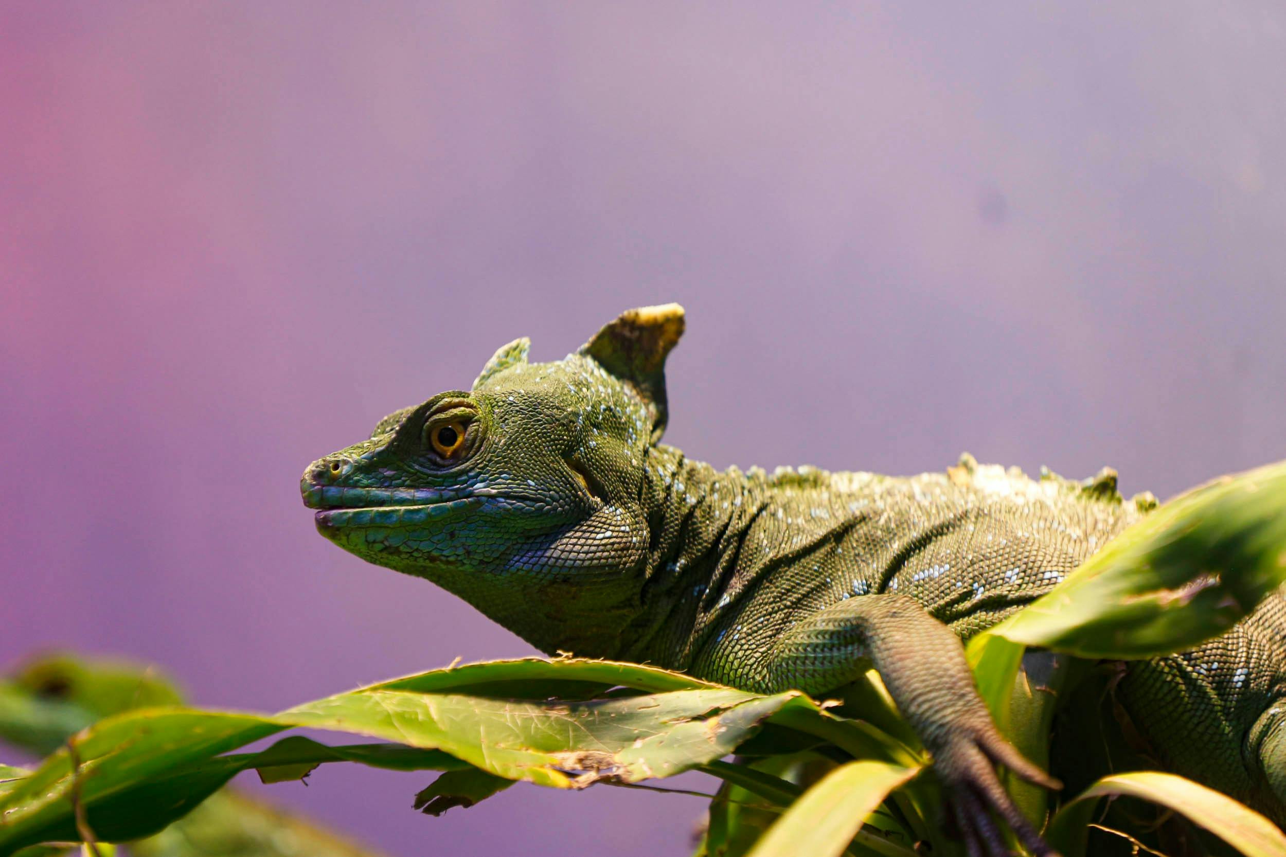 Aquarium ONIRIA in Canet-en-Roussillon Das Aquarium der Träume