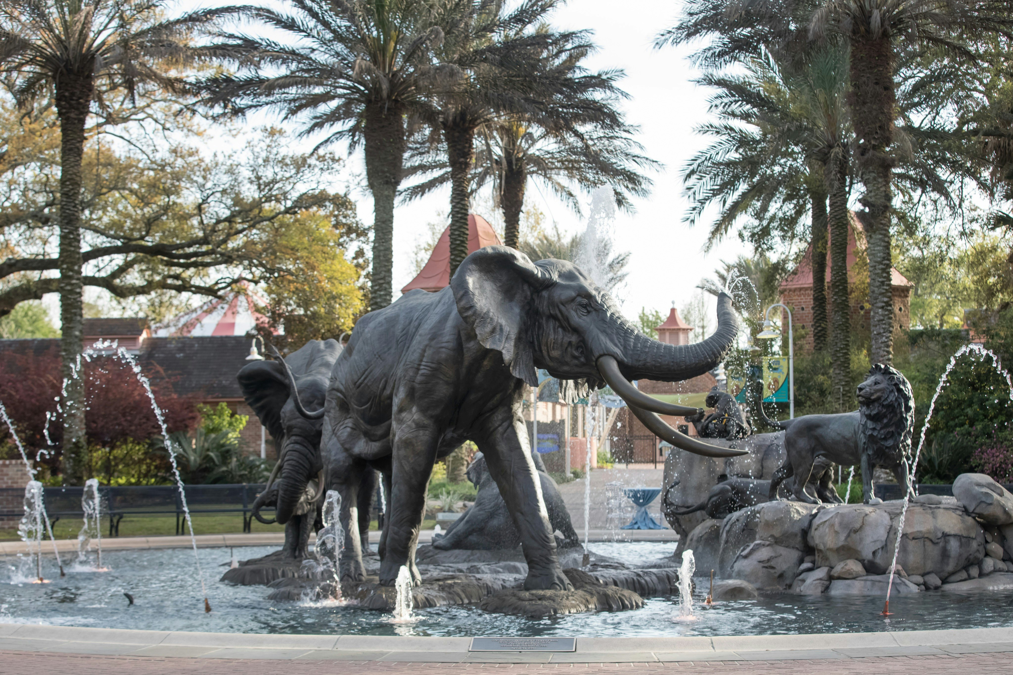 New Orleans New Zoo Coupons Audubon Zoo, New Orleans Book Tickets