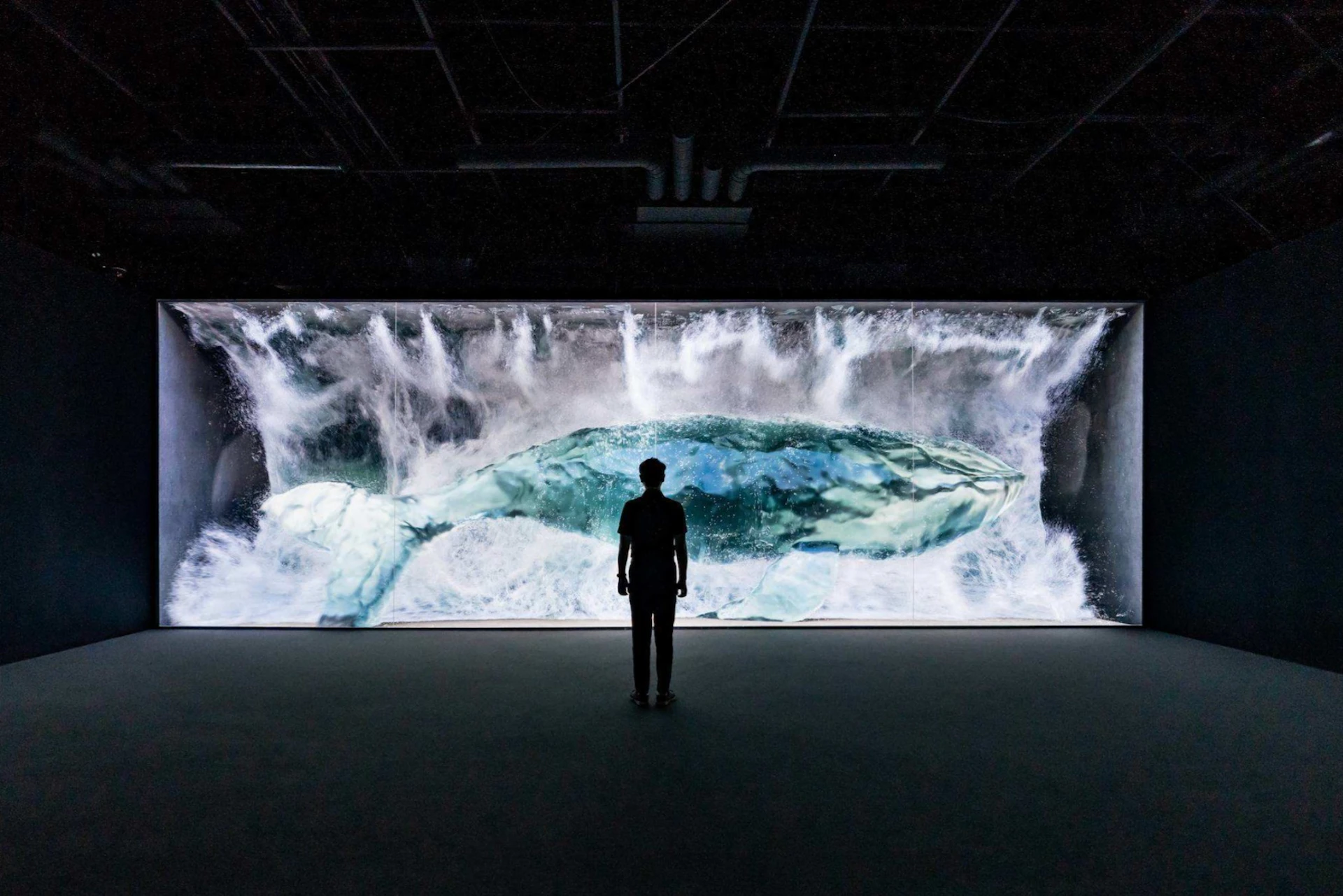 A person stands in front of a large, vivid screen displaying a whale underwater, creating an immersive visual experience.