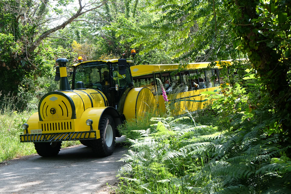A yellow train-like vehicle with passengers travels along a path surrounded by lush green foliage and trees.