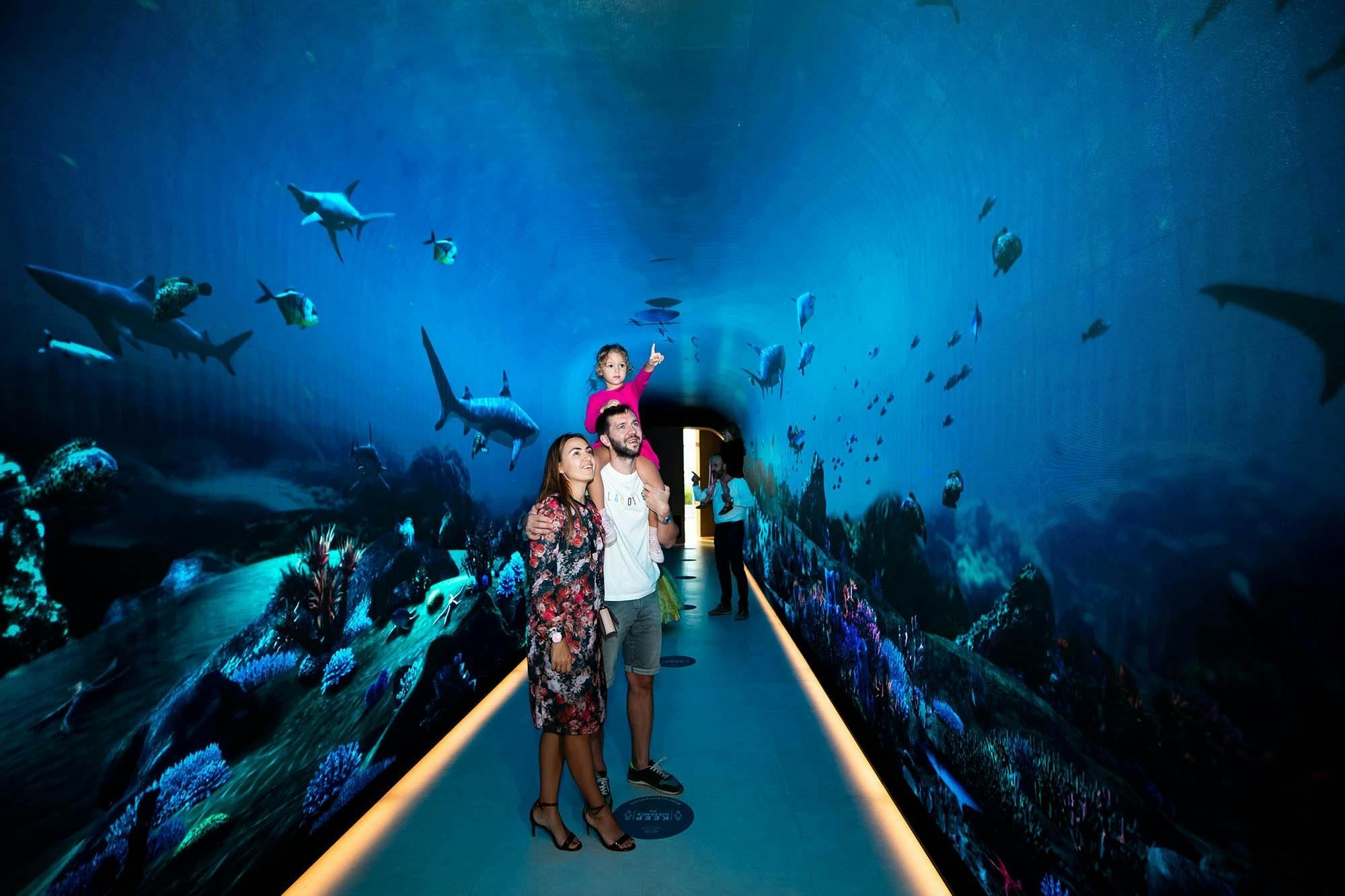 전망 - 우선 입장 + 다음 단계