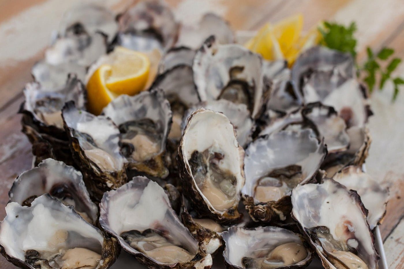 Bruny Island: Guided Food Tour from Hobart + Ferry Ride + Bligh Museum Entry - Photo 7