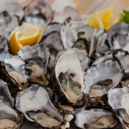 Bruny Island: Guided Food Tour from Hobart + Ferry Ride + Bligh Museum Entry - Photo 7