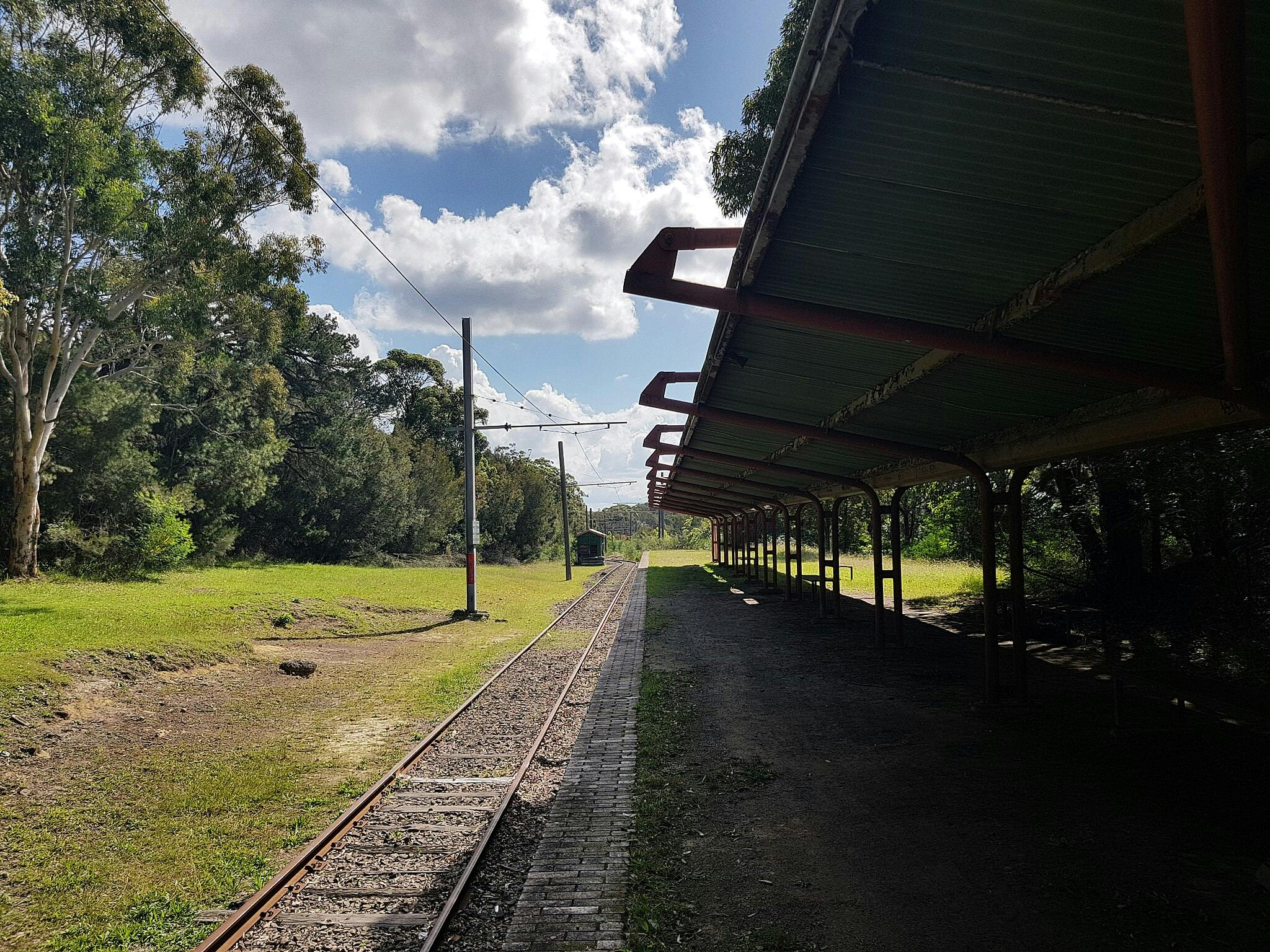 Royal National Park in Sydney
