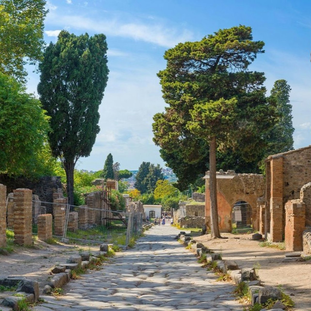 Pompeya: Visita guiada con tren de alta velocidad desde/hasta Roma + Almuerzo - Alojamientos en Roma