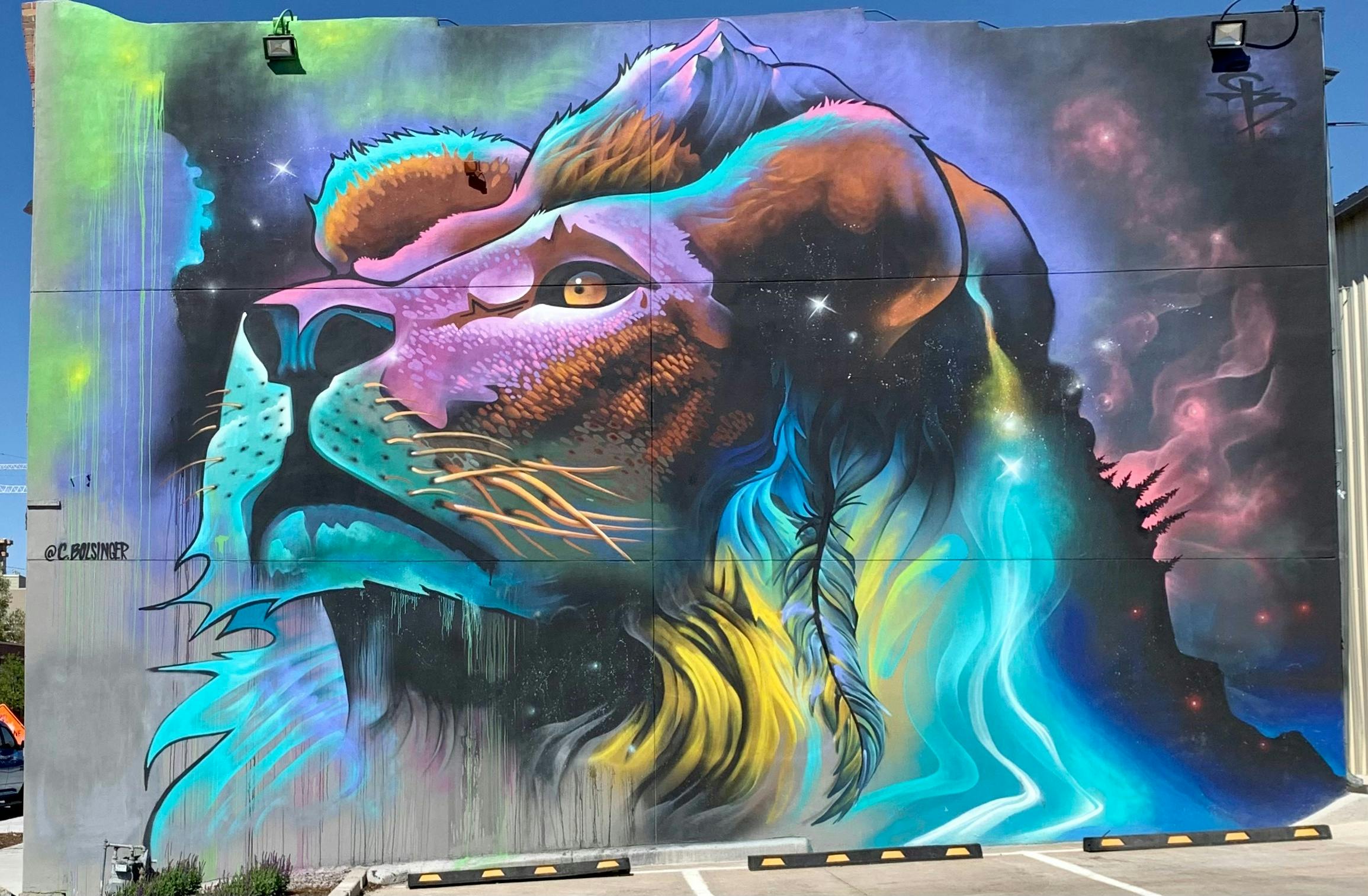 Graffiti a Denver: tour dell'happy hour — 6
