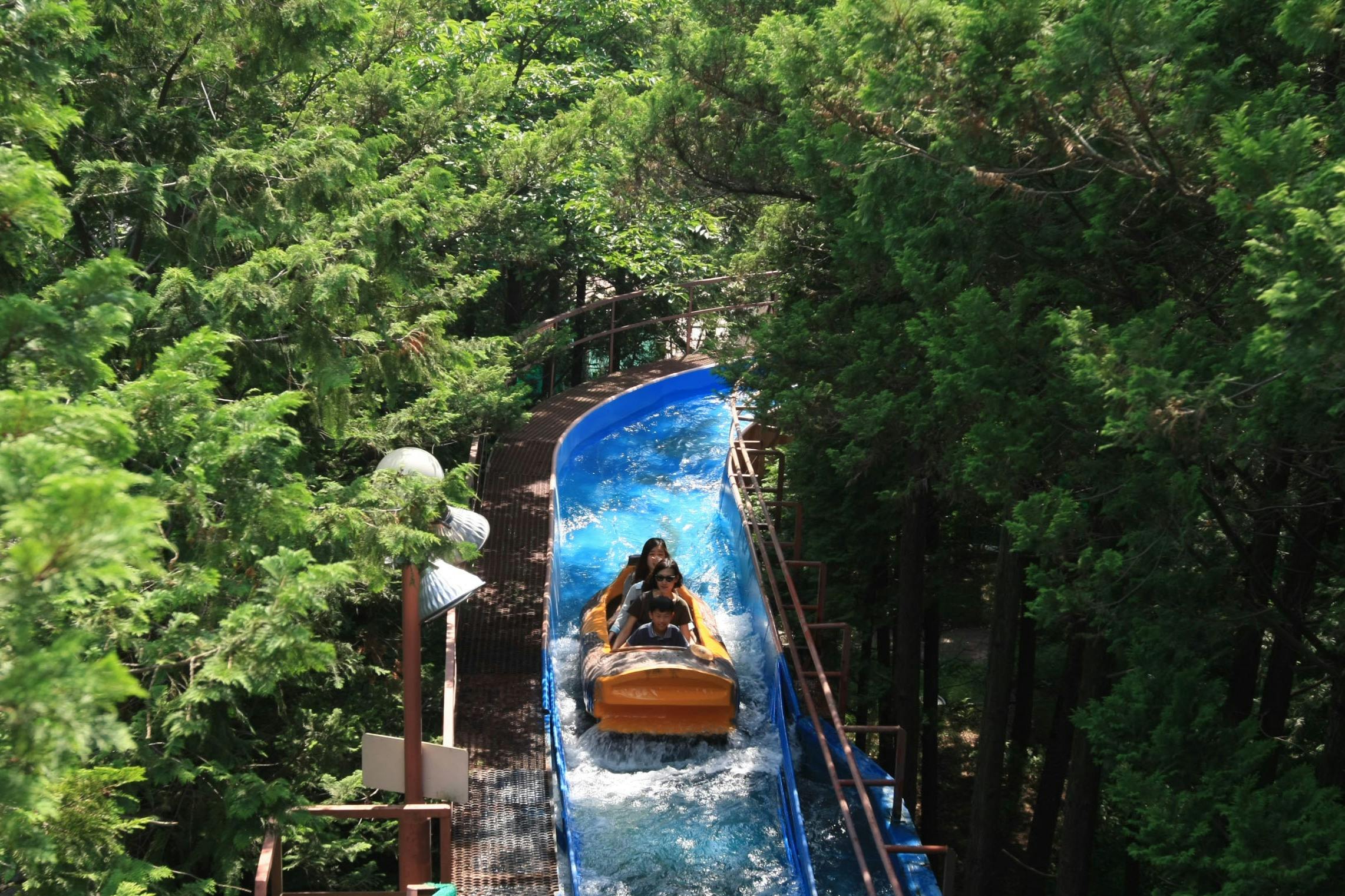People ride a log flume through a forested water track, surrounded by lush green trees.