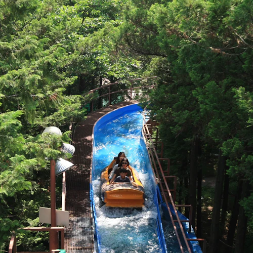 Seoul Land: 1-Day Theme Park Ticket