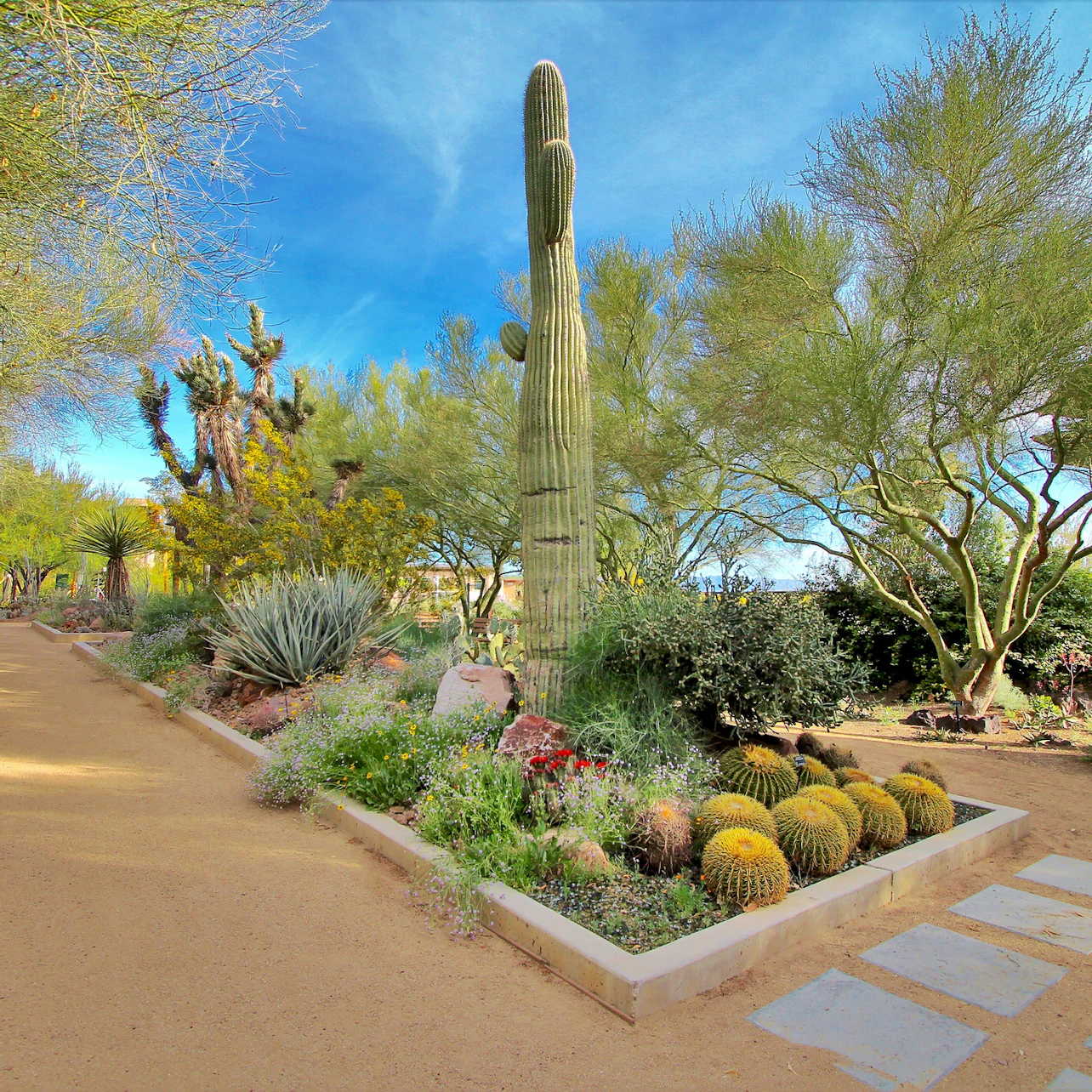 Springs Preserve & Nevada State Museum in Las Vegas – Tiqets