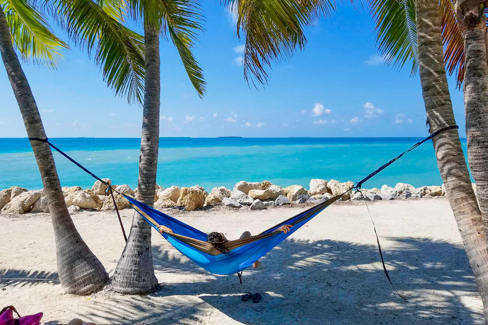 Person relaxing in a hammock tied between two palm trees, overlooking a rocky beach and expansive ocean under a clear blue sky.