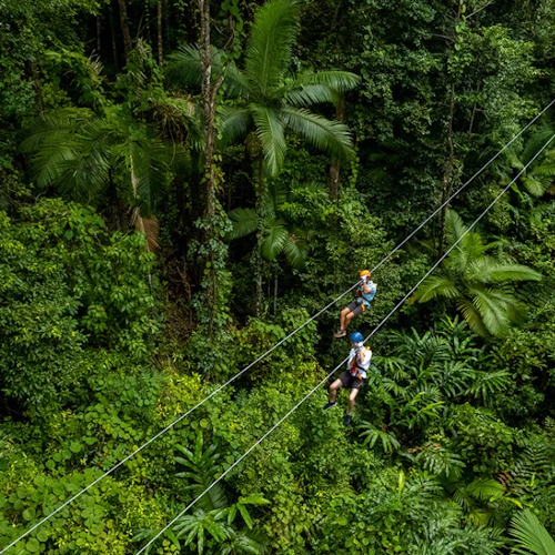 Treetops Adventure - Cape Tribulation - Photo 2