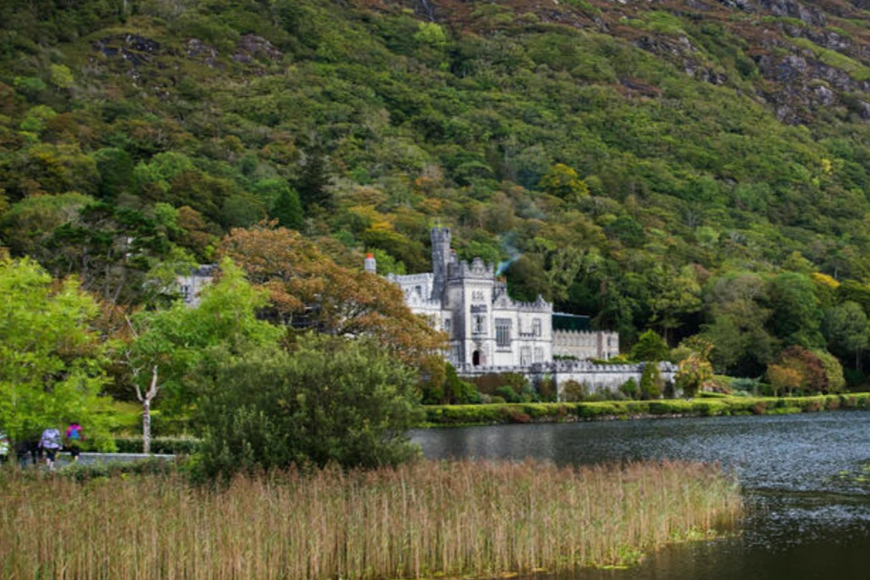 A castle-like building surrounded by lush greenery, near a calm lake with reeds in the foreground.
