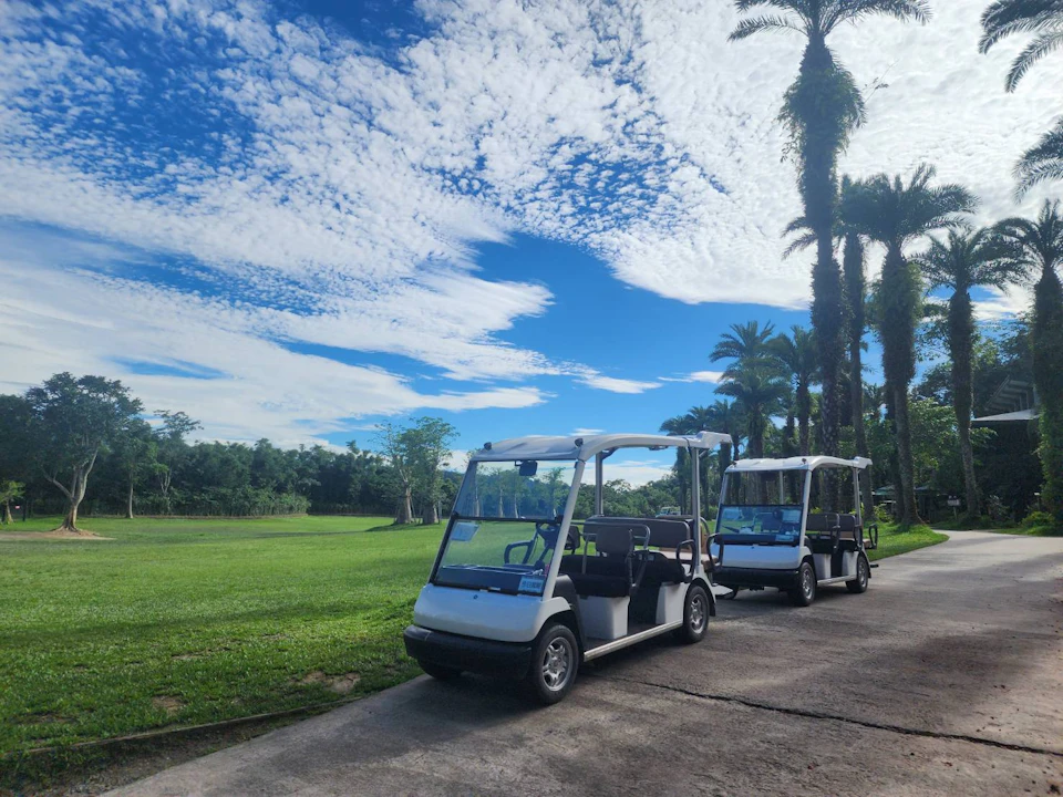 Two golf carts parked on a paved path near a grassy field with trees and palm trees under a partly cloudy sky.