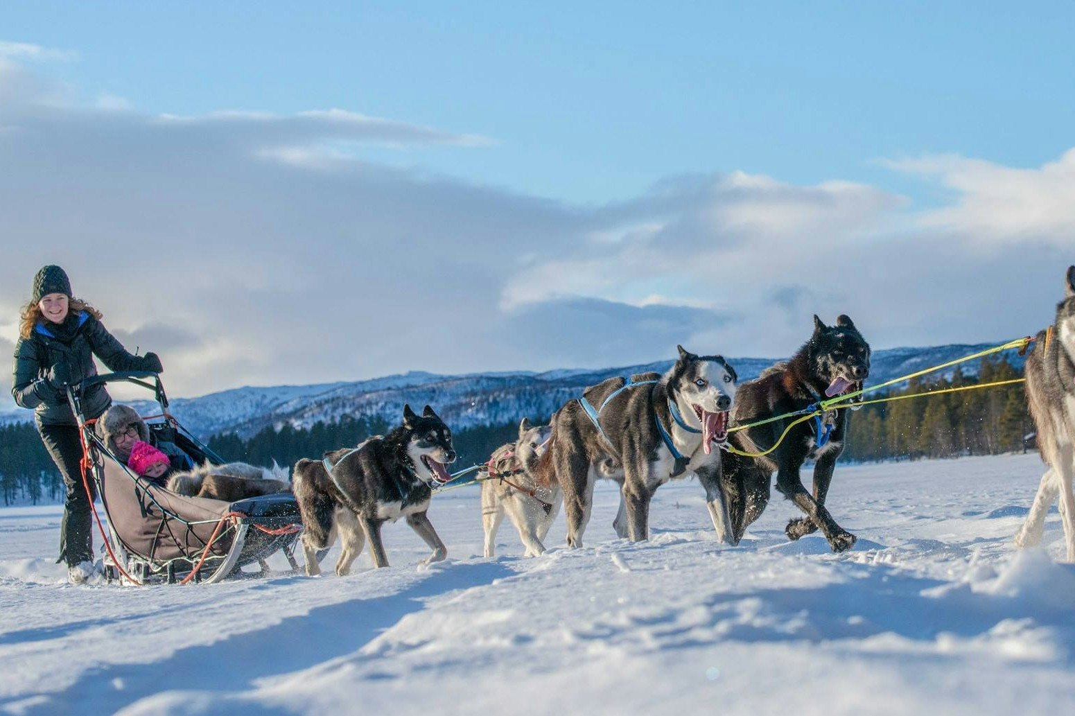 Husky Ride Rovaniemi