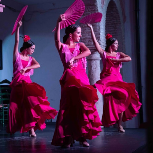 Cordoba: Flamenco Show with Welcome Drink Cordoba: Flamenco Show with Welcome Drink