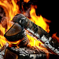Lapland Northern Lights Tour with Lappish Barbecue 4