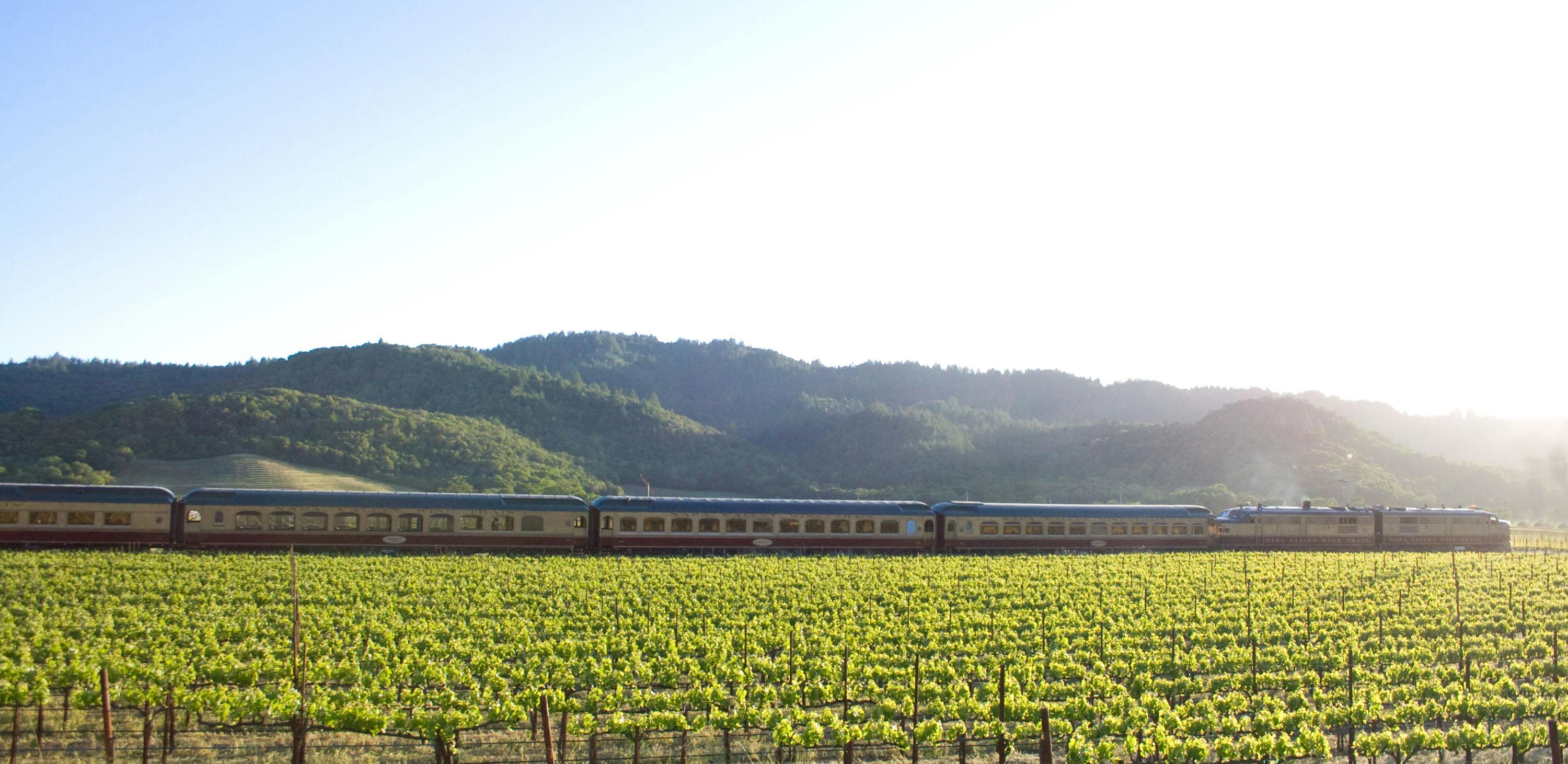 Un tren passant per una vinya amb els turons verds al fons sota un cel clar.