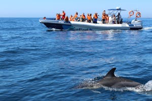 Lagos (Portugal) image