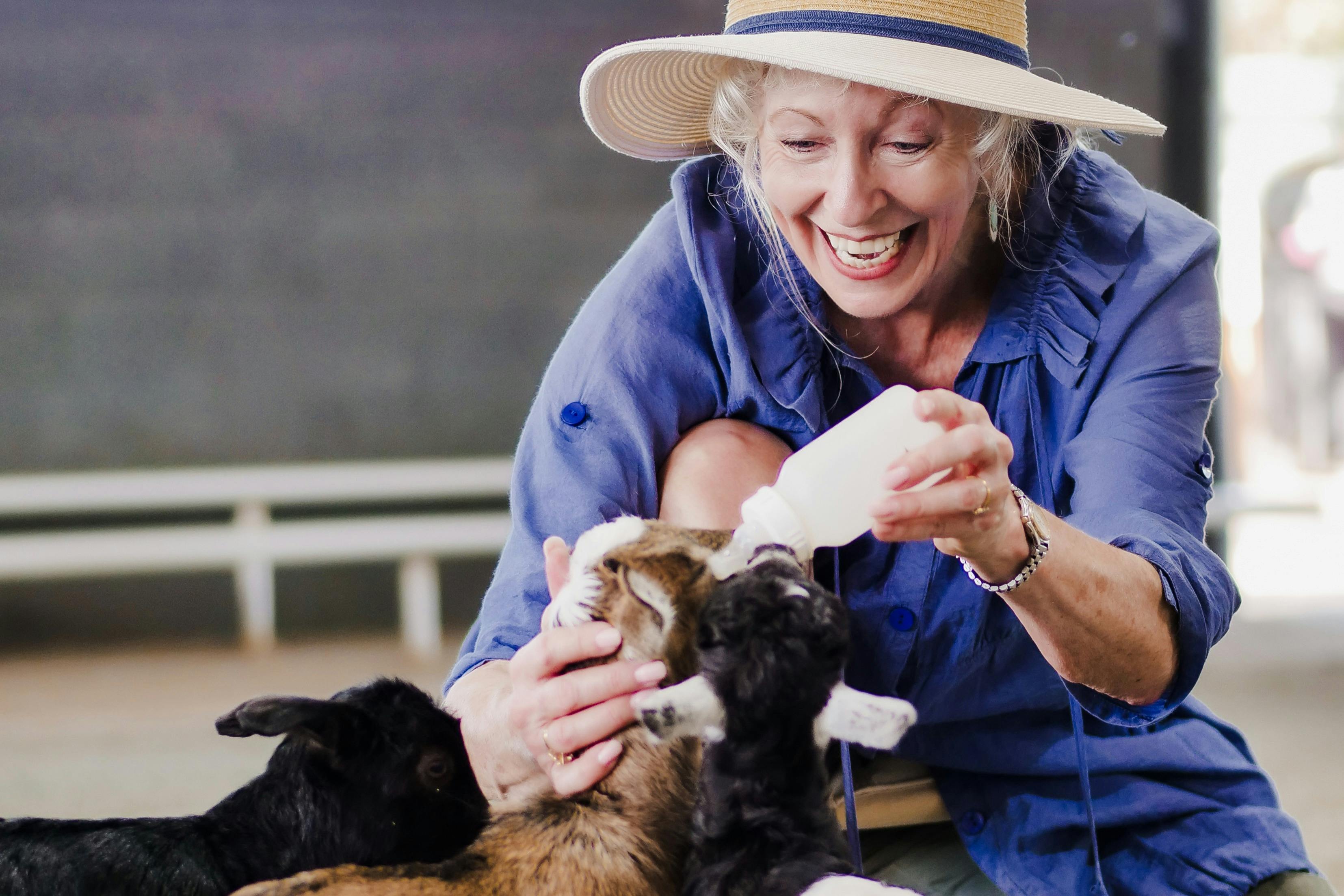 A lady bottle feeding baby goats - scheduled feeding sessions included in your ticket price.