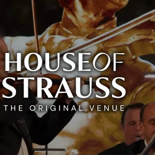House of Strauss Vienna: Concerto de Gala de Ano Novo + Jantar - Photo 1