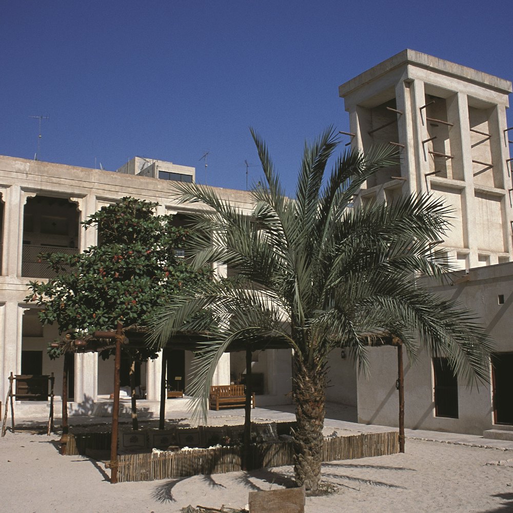 מרכז התרבות שייח' מוחמד צילום מתוך אתר tiqets - למטייל (2)