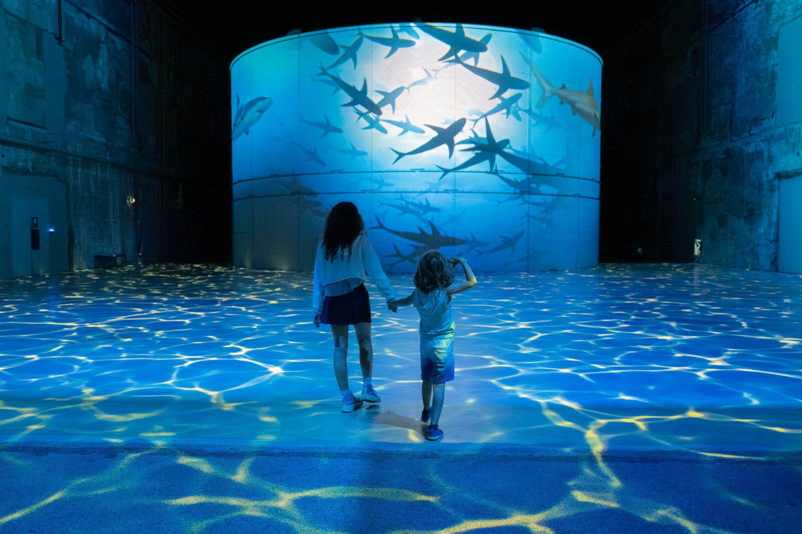 Les Bassins des Lumières: Ocean