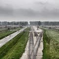 Освенцим: Условия жизни