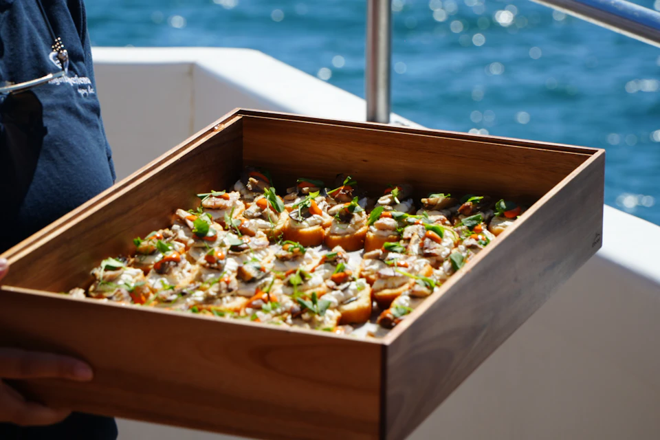 A tray of neatly arranged appetizers garnished with herbs, held near a railing with a body of water in the background.