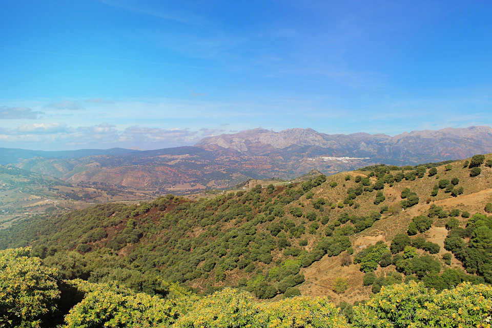 Rolling hills covered in green vegetation with distant mountains under a blue sky.