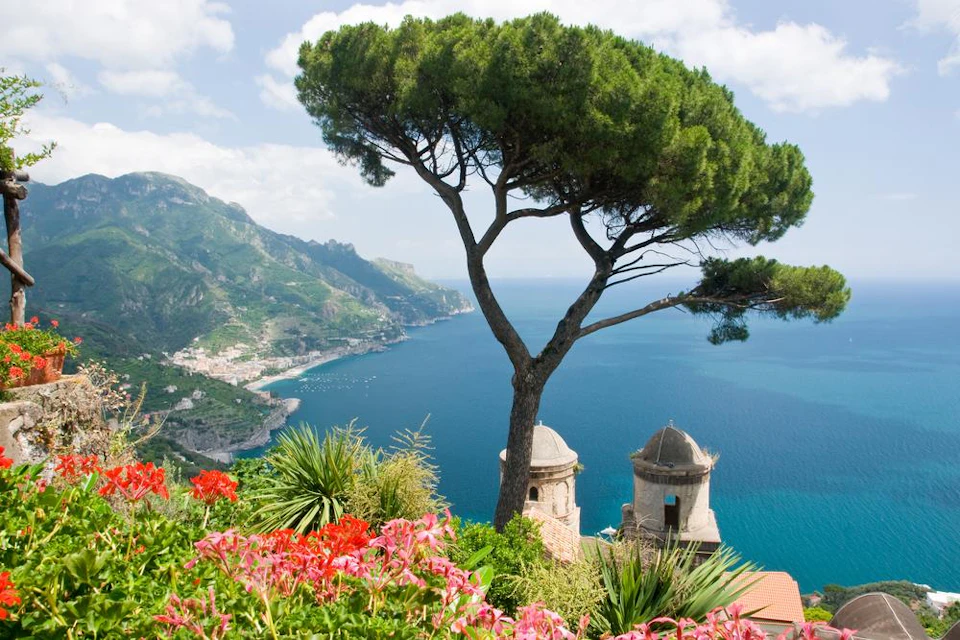 A seaside view with a tall tree, vibrant flowers, and a coastal town in the background under a bright blue sky.
