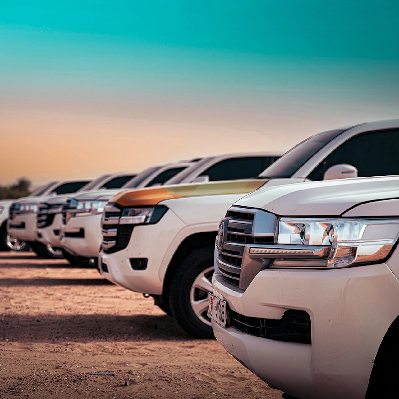 Abu Dhabi: Evening Desert Safari Tour + Dinner 2