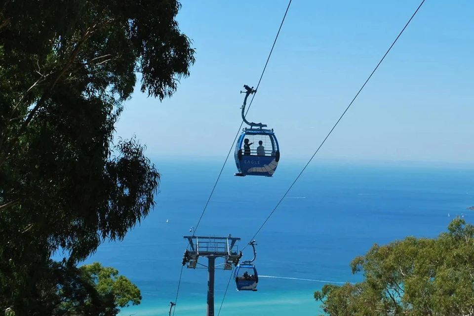 People inside cable cars suspended over the ocean, with trees and a clear blue sky in the background.