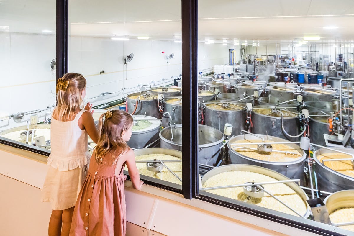 Two young girls observe large industrial vats through a window in a bright, clean factory setting.
