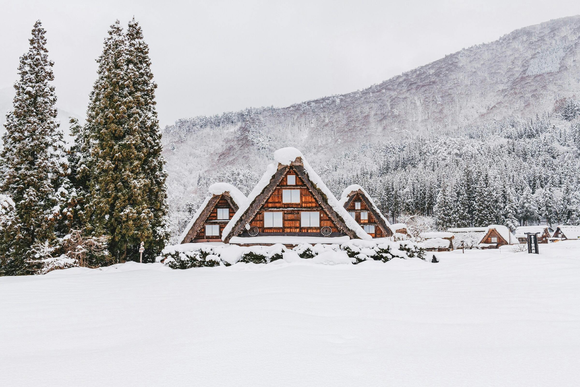 A snowy landscape with traditional A-frame houses in a mountain setting, surrounded by trees and snow-covered ground.