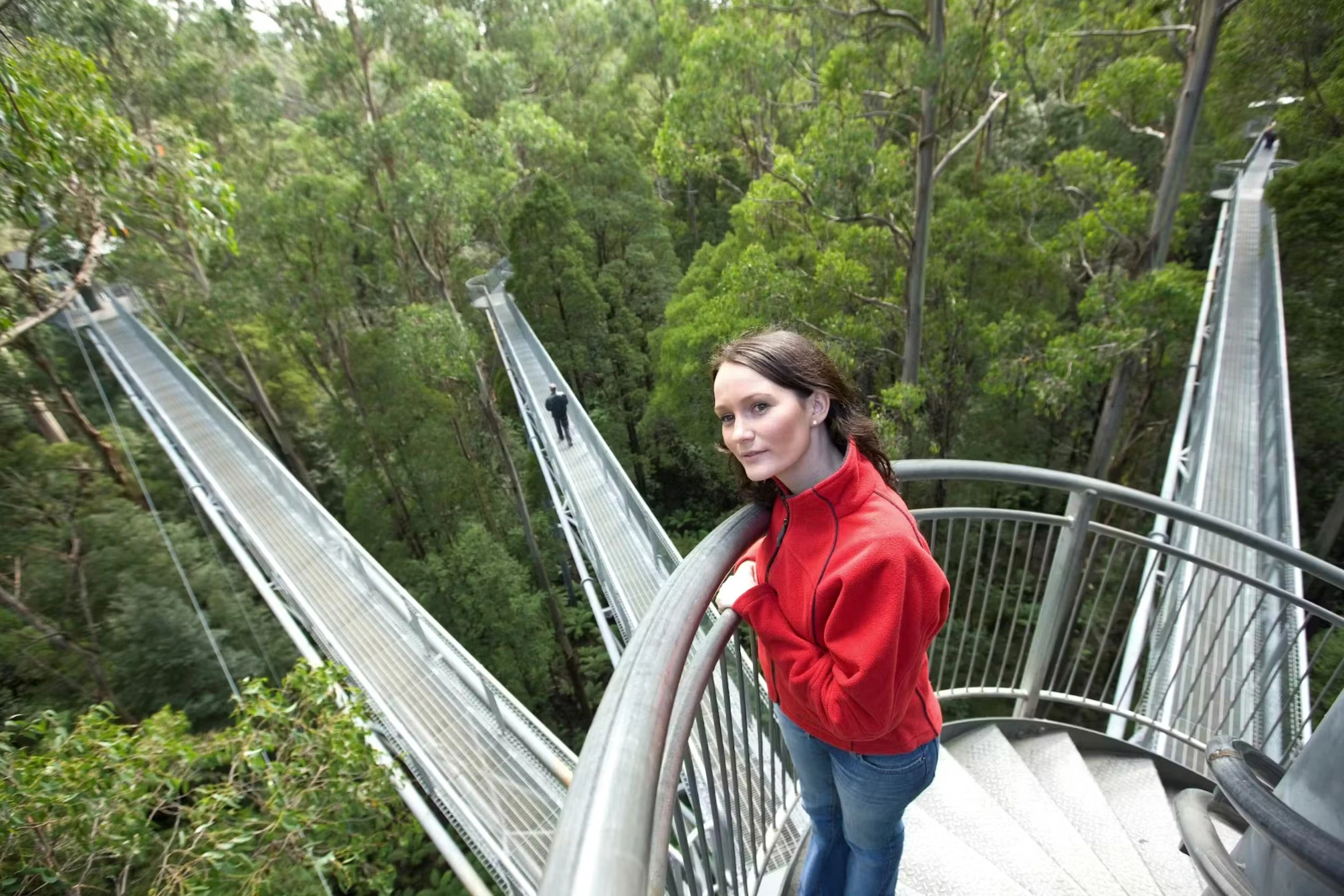 Otway Fly Treetop Adventures: Treetop Walk